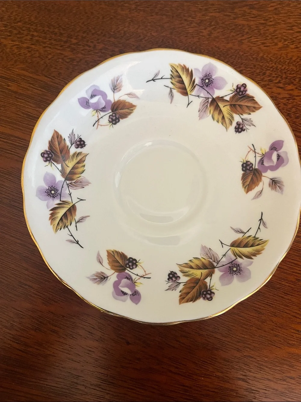 Queen Anne Purple Brown Floral Bone China Teacup & Saucer Made in England 8344